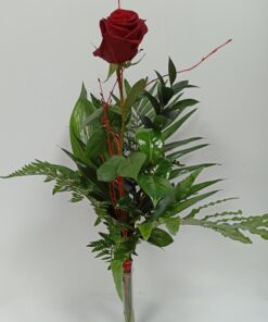 1 Rosa preparada Roja