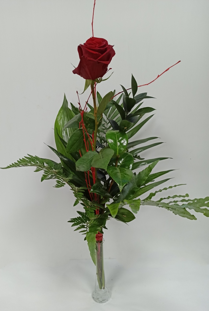 1 Rosa preparada Roja